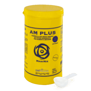 AM Plus